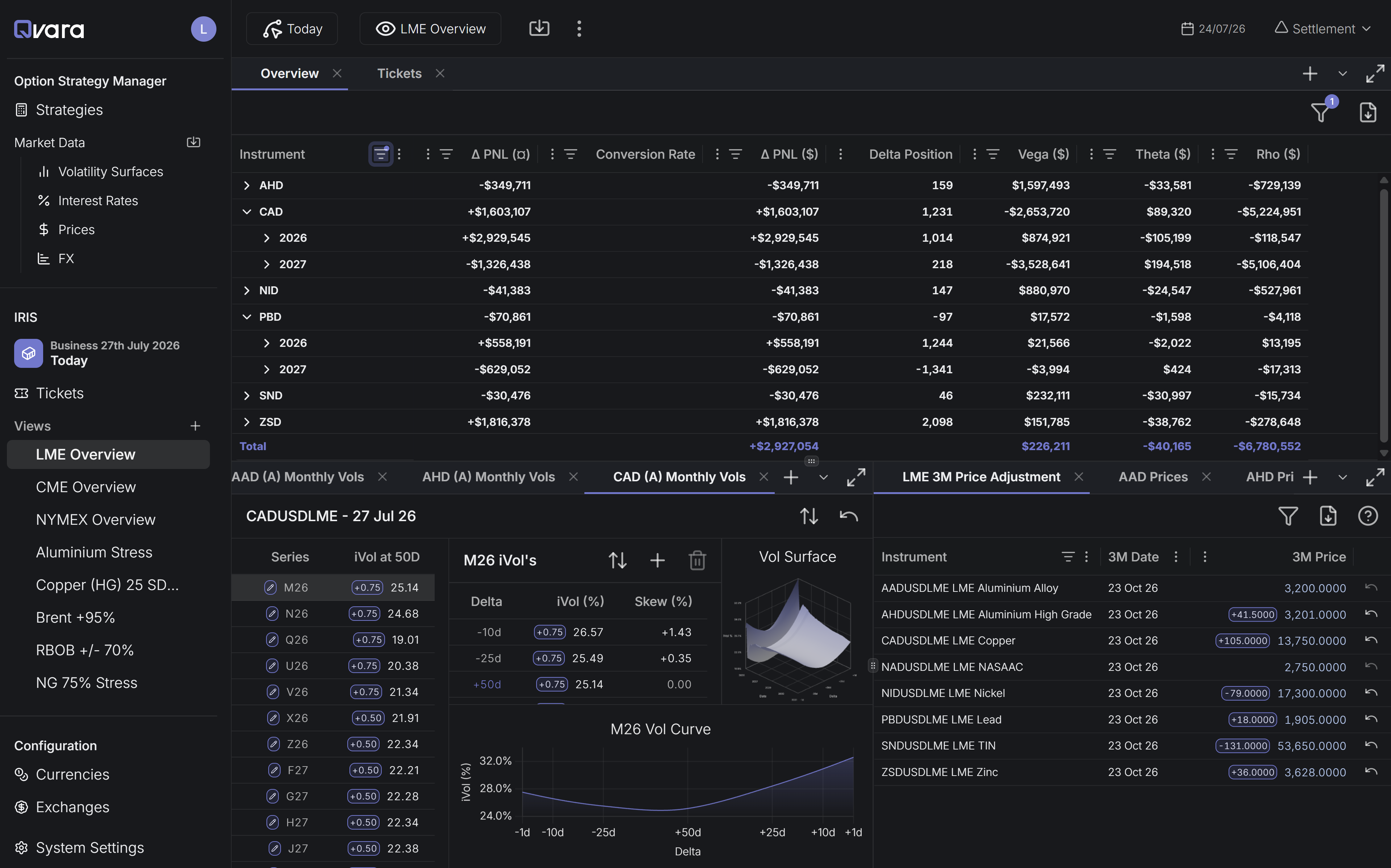 IRIS workspace screenshot: positions grid with monthly vols, vol surface and price adjustments