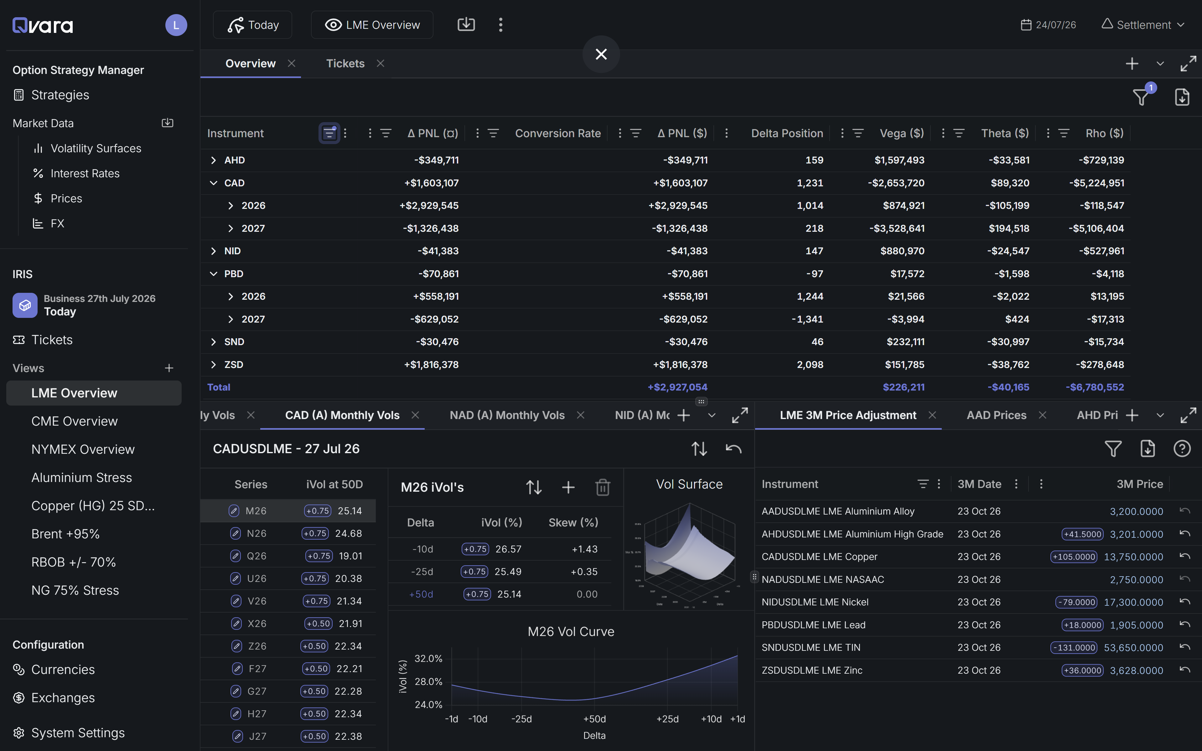 IRIS workspace screenshot: positions grid with monthly vols, vol surface and price adjustments